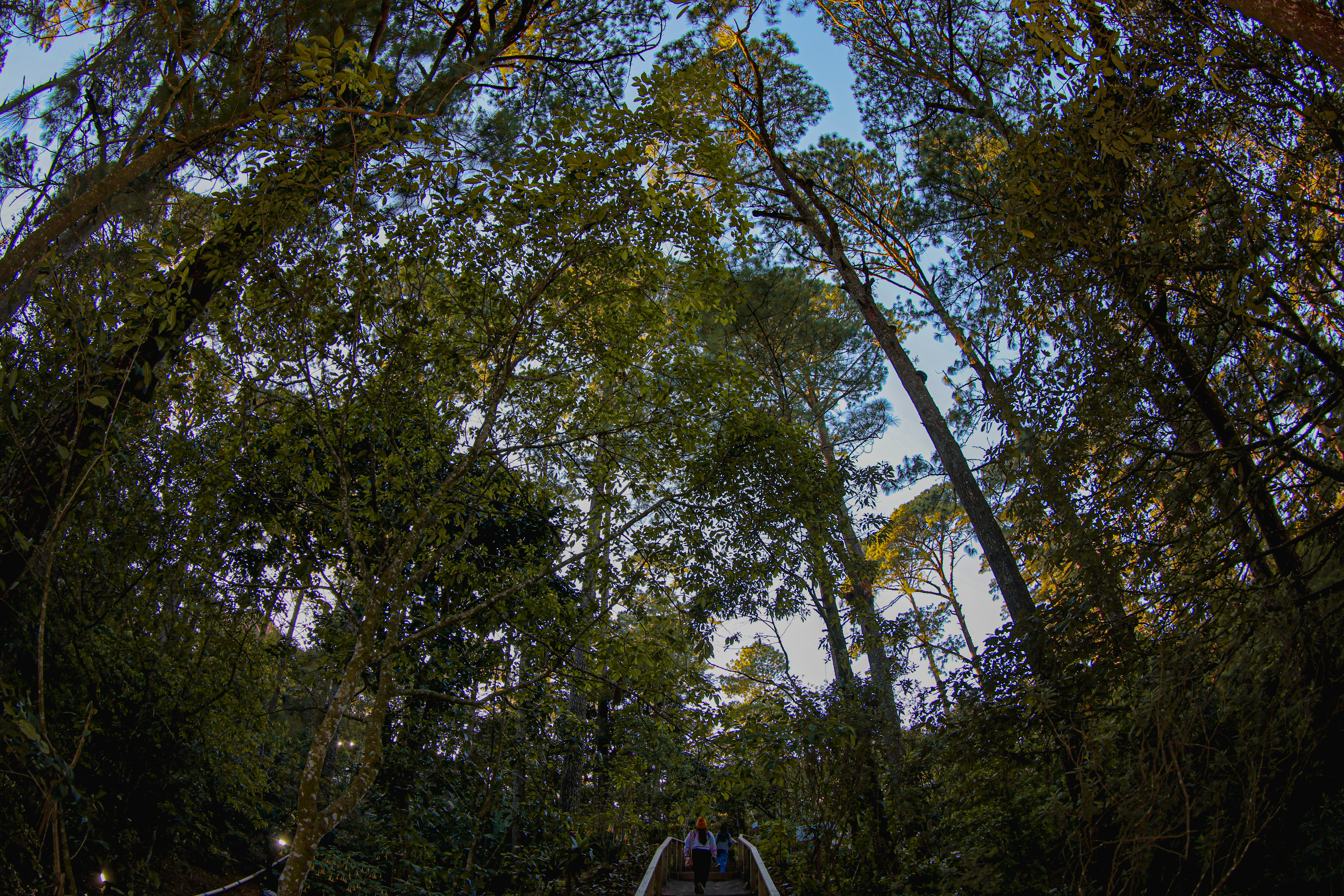 Photo from Parque Nacional El Boquerón